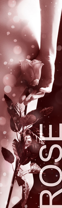 Status Rose - Honorarübersicht Escort Braunschweig Status Rose - Honorarübersicht Escort Braunschweig