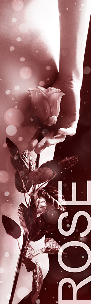 Honorar Status Rose - Escort Braunschweig Honorar Status Rose - Escort Braunschweig